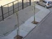 Redução no IPTU a imóveis com vegetação de porte arbóreo