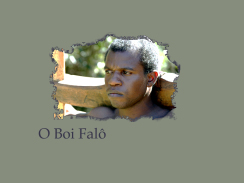 Câmara exibe documentário “Boi Falô”