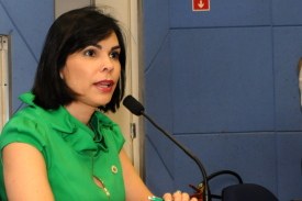 Pedofilia: CEE discute violência doméstica 