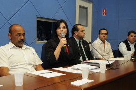Delegadas participam de reunião da CEE da Pedofilia 