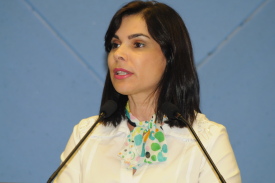 Câmara aprova projeto da Campanha Antipichação