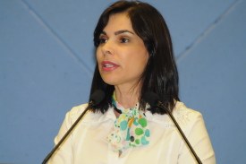Câmara aprova projeto da Campanha Antipichação