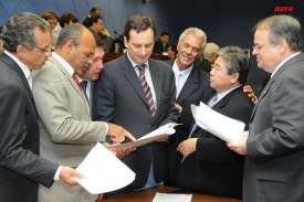 Aprovado projeto que disciplina o replantio de árvores
