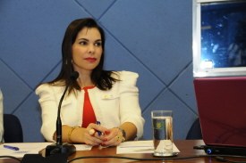 Diretor do Caism participará da reunião da Comissão da Mulher 