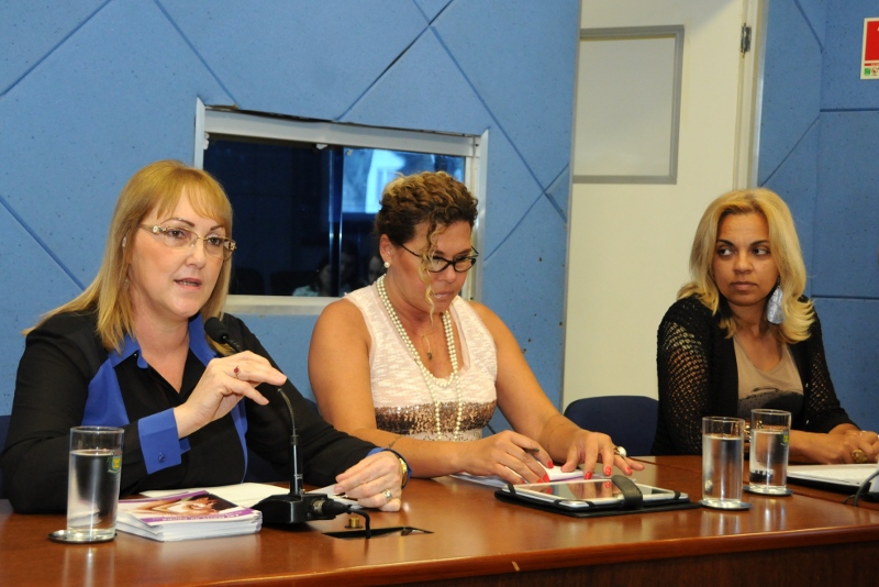 Comissão da Mulher continua estudo da Lei Maria da Penha