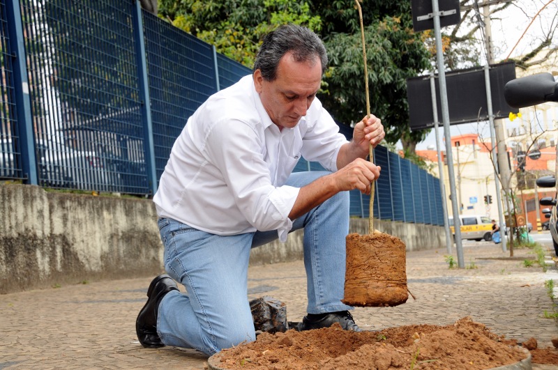 Vereador planta Ipê Amarelo em frente à Câmara