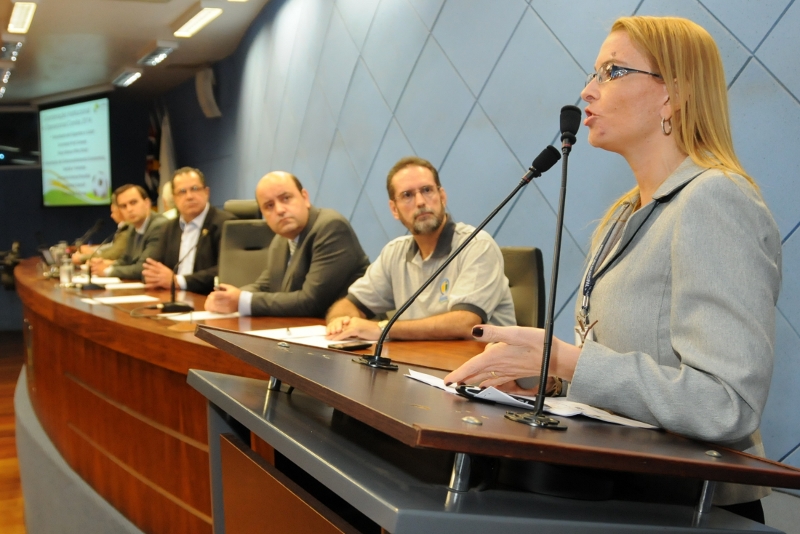 Comissão da Câmara debate o papel da mulher no mundo dos negócios
