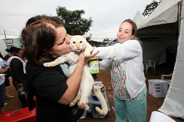 Carmo Luiz faz balanço positivo da Comissão de Proteção Animal e diz que próxima prioridade é tirar Estatuto dos Animais do papel