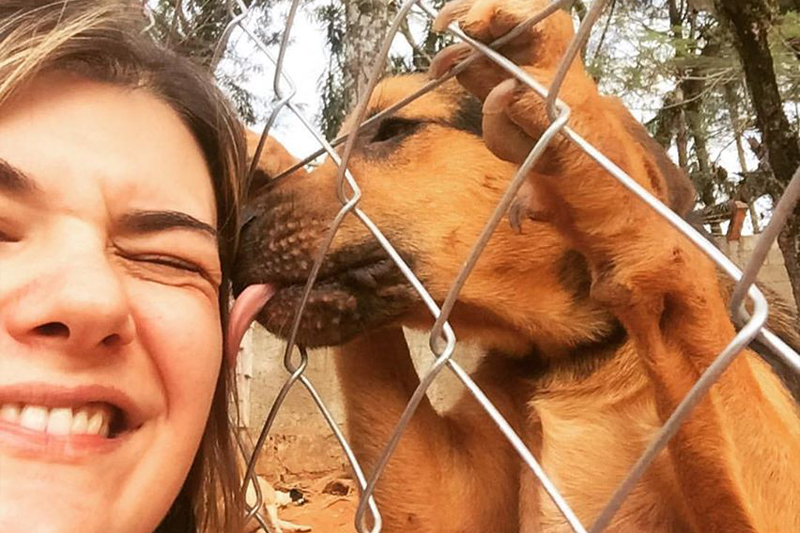 Nesta quinta-feira (18)tem estreia TV Câmara: Espaço Aberto Animal; primeira edição é focada em resgate e adoção