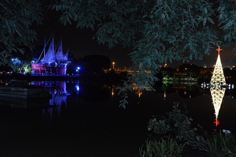 Secretários municipais elogiam indicação do vereador Jeziel que ajudou a trazer árvore gigante de Natal à Lagoa