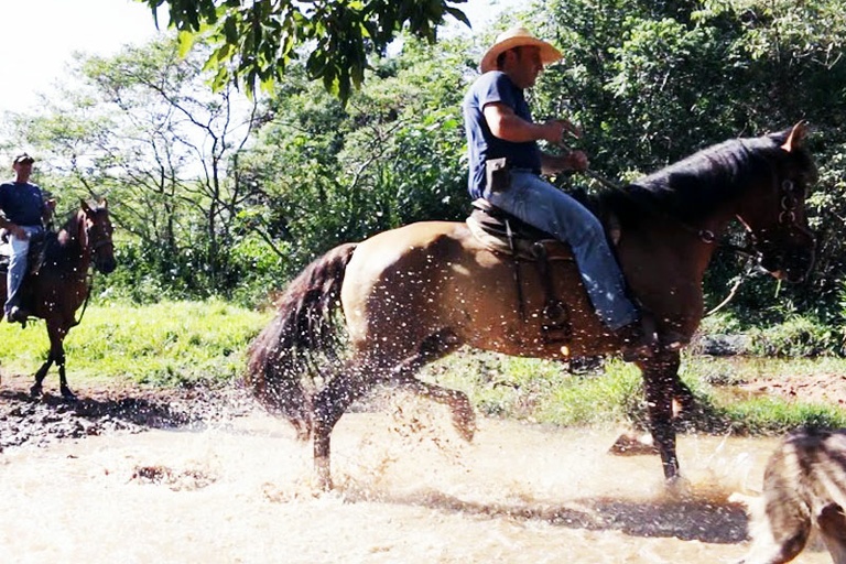 TV Câmara exibe documentário Fazenda neste sábado, dia 5 de março