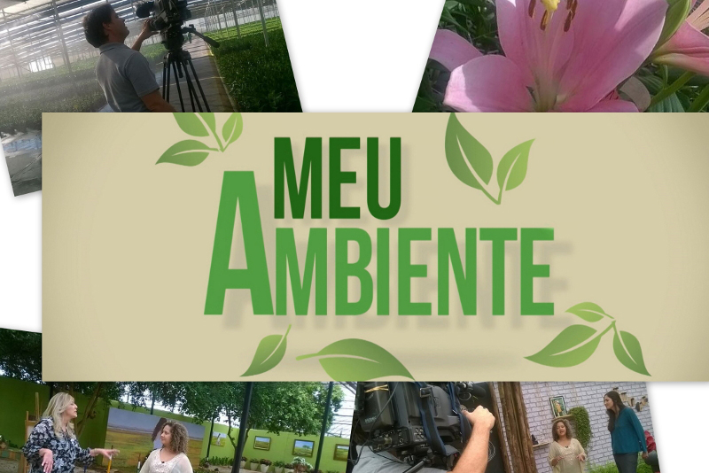 “Flores sustentáveis” abrem a terceira Temporada do programa Meu Ambiente, às 11 horas deste domingo (6)