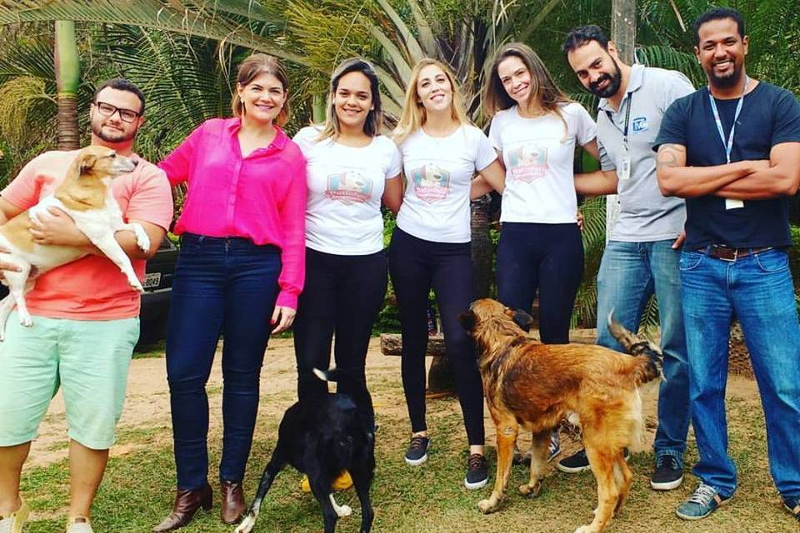  Espaço Aberto Animal desta quinta-feira (06/10) discute trabalho do Patinhas Resgatadas