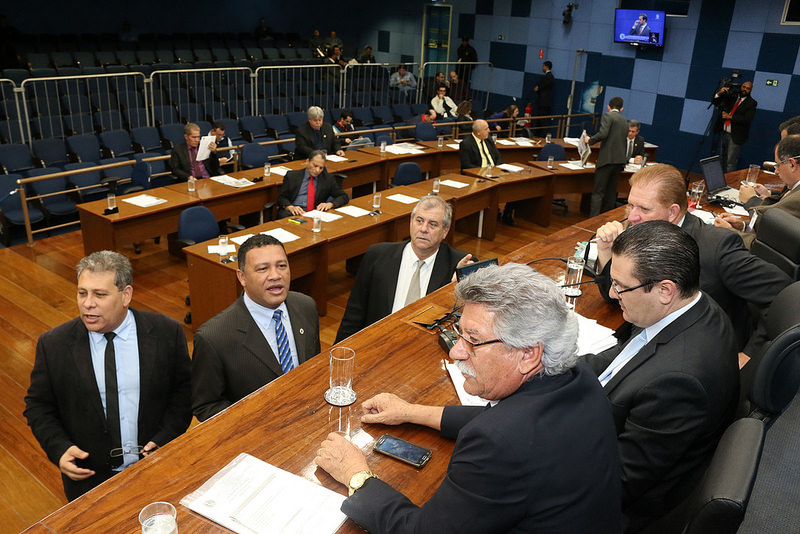 Vereadores aprovam, em 1ª votação, projeto que proíbe o uso de coleira de choque em cães na cidade de Campinas