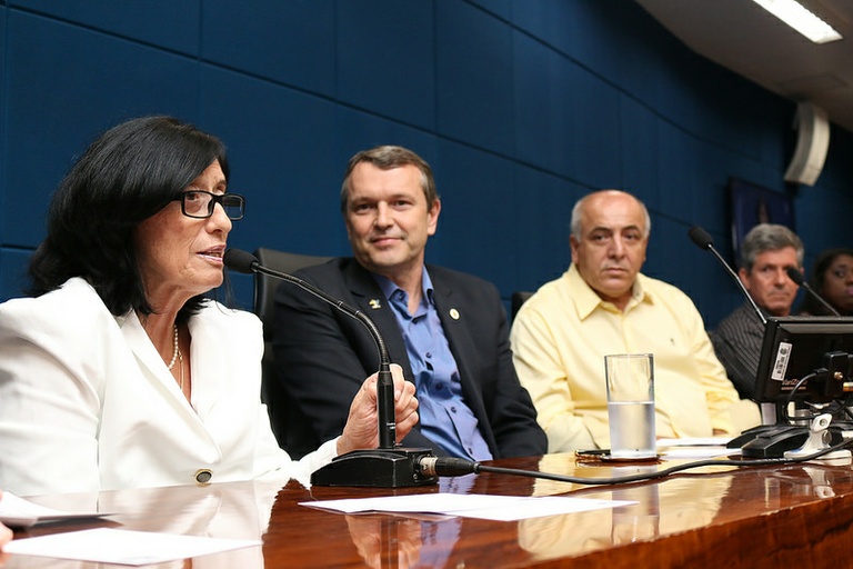 Comissão das Pessoas com Deficiência debate leis estaduais na área