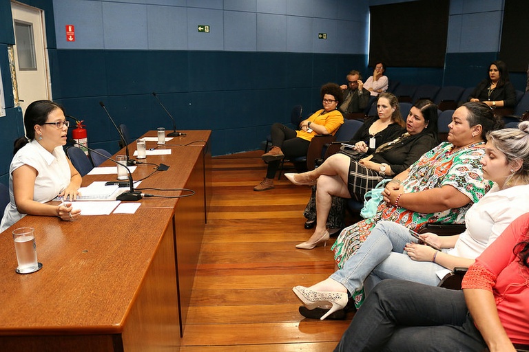 Comissão da Mulher pede mais sensibilidade no atendimento realizado às vítimas de violência doméstica