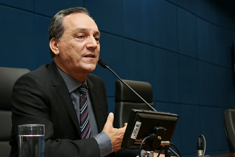 Primeira parte da sessão desta quarta-feira (4) será dedicada às abelhas