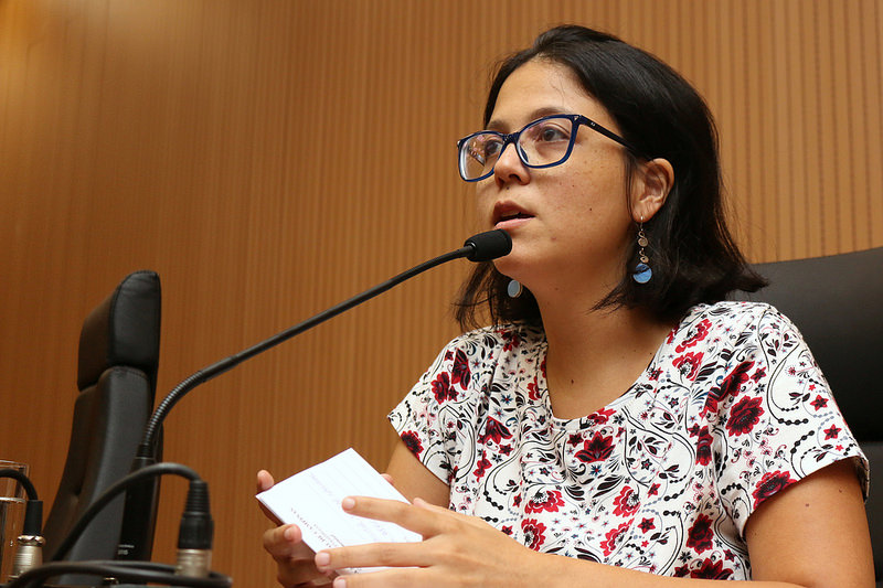 Câmara entrega nesta quinta-feira (30) Diploma de Mérito Cultural a fundadores da Feira Hippie