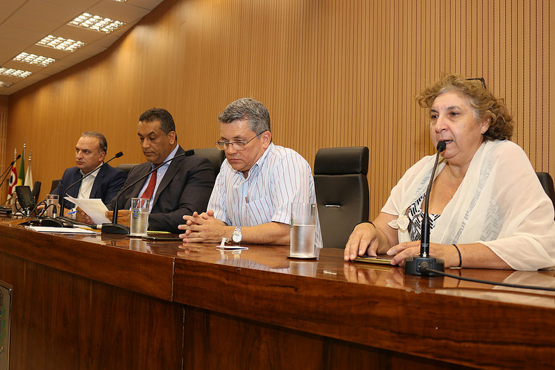 Audiência pública facultativa reforça o direito de acompanhante à gestante no parto e pós-parto
