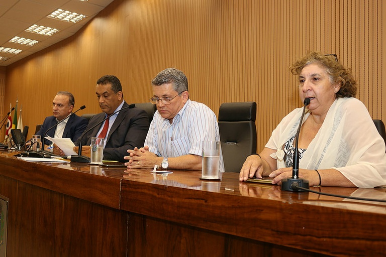 Audiência pública facultativa reforça o direito de acompanhante à gestante no parto e pós-parto