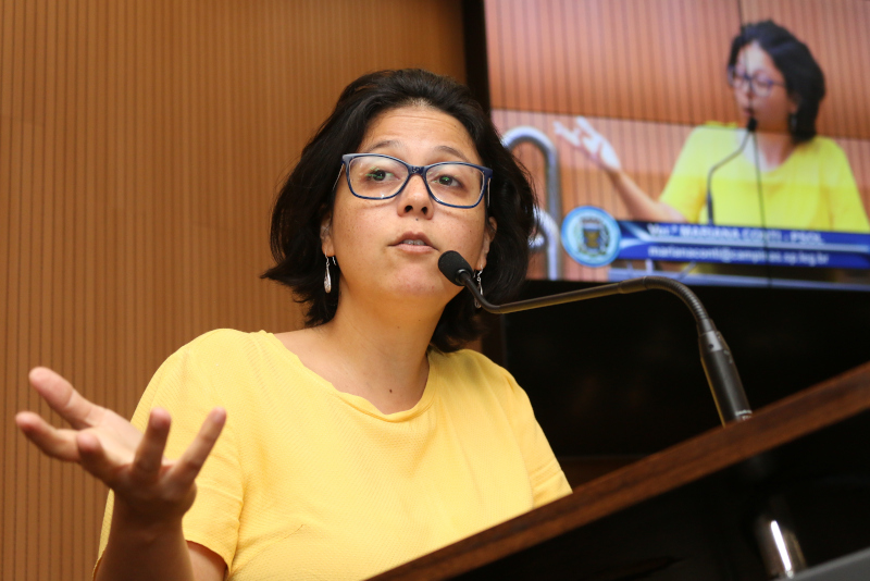 Mariana Conti pede urgência na votação do Projeto de Lei sobre segurança de barragens