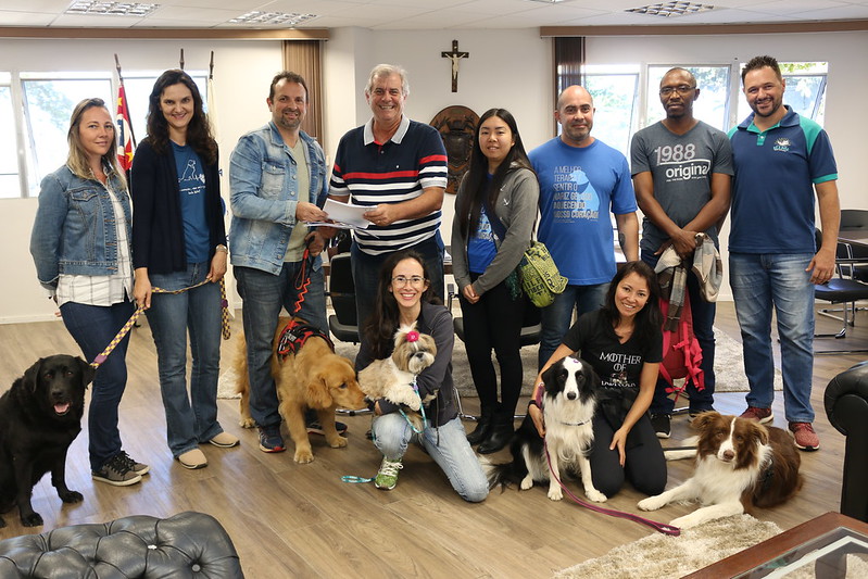 Bernardelli recebe profissionais que trabalham com cães-terapeutas e prepara projeto de lei para que os animais tenham os mesmos direitos de acesso dos cães-guia  