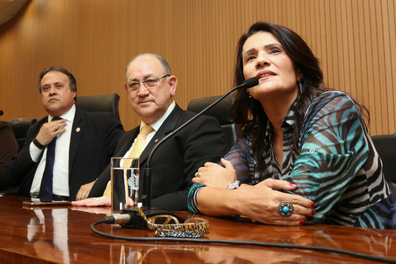 Por iniciativa do Professor Alberto, Câmara discute a escolha de Campinas para receber escola cívico-militar