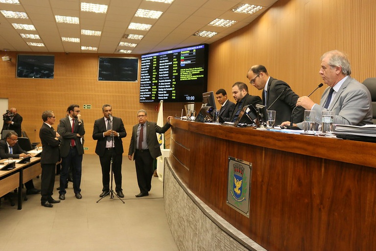 Câmara aprova, em 1ª votação, PL que garante que cães-terapeutas possam acompanhar pessoas com deficiência em locais públicos ou privados de Campinas