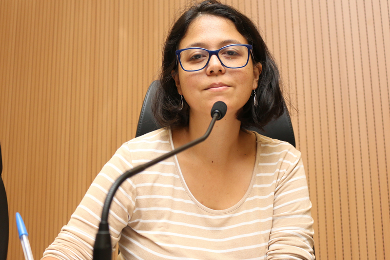 Comissão Permanente da Mulher fará reunião virtual, com transmissão pela TV Câmara,  na tarde desta terça (15)