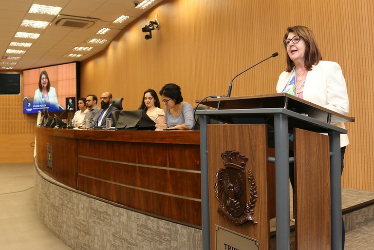 Em reunião às 13 horas desta quinta (5), Câmara recebe secretária de Educação para abordar falta de professores em CEIs