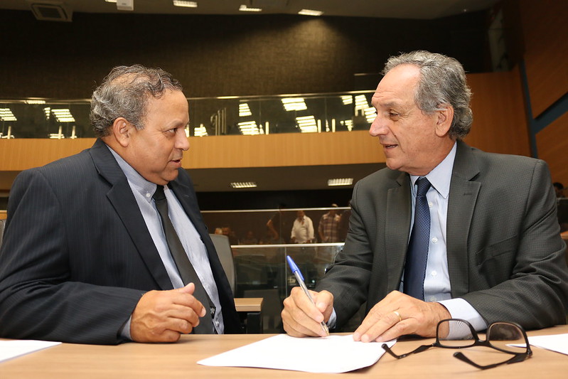 Meio ambiente: Câmara vota nesta segunda (9), em votação final, projeto para proteção de abelhas silvestres sem ferrão