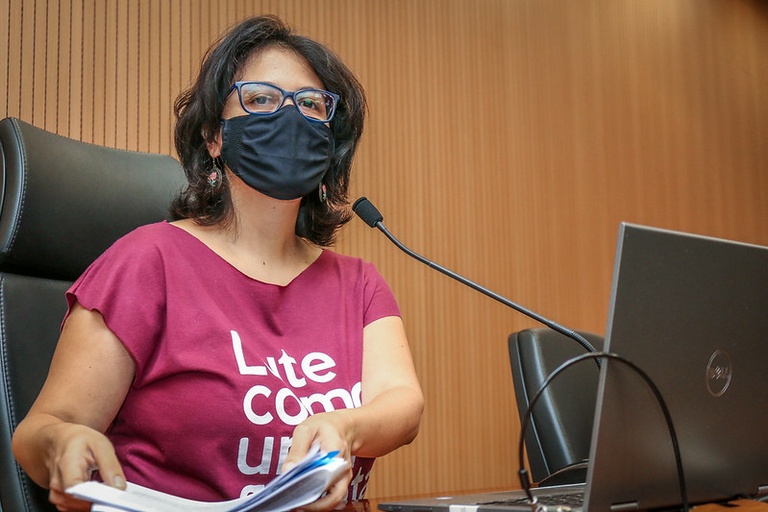 Comissão Especial de Estudos da Renda Básica Municipal realiza debate virtual com Eduardo Suplicy, vereadores e secretários municipais de outras cidades