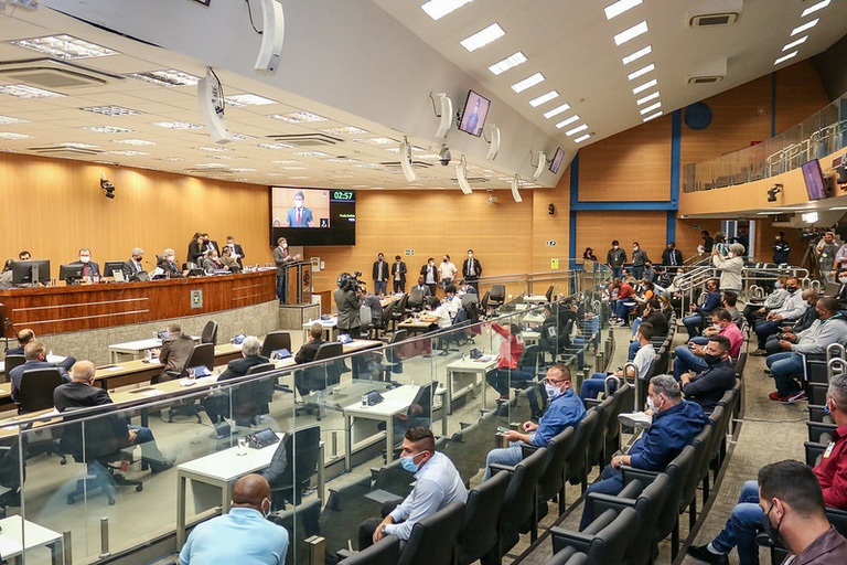 Câmara vota nesta quarta (11) castração de animais comprados de criadores e implantação do Sistema Colaborativo de Segurança e Monitoramento
