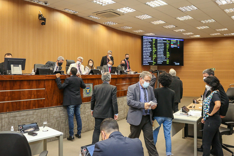 Retrospectiva 2021: em junho, Câmara aprova o Banco de Ração e Utensílios para Animais e, no Parlamento da RMC, governo de SP anuncia edital de duplicação da Rodovia Miguel Melhado