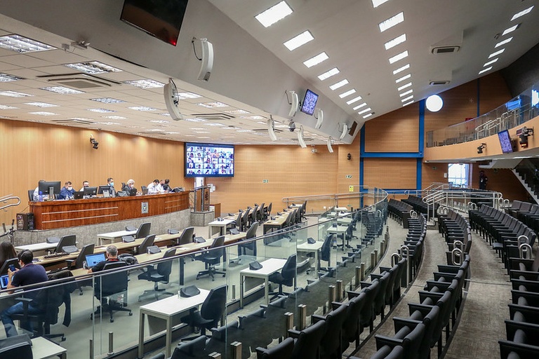 Câmara define integrantes da CEE da Preservação da APA; confira a íntegra da votação desta quarta