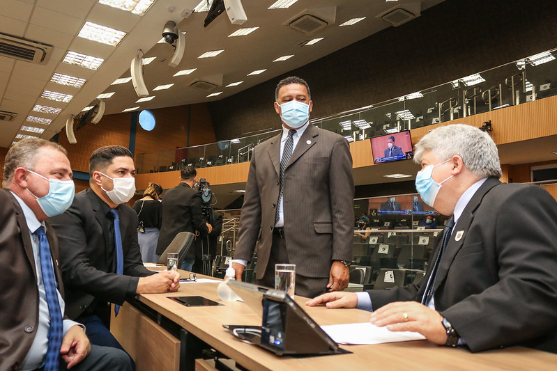 Em prol dos animais: Câmara vota nesta segunda (29), criação de telefone exclusivo para Castramóvel e Samu Animal  
