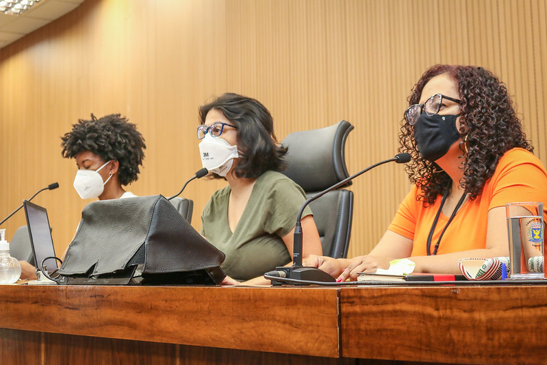 Comissão da Mulher debate o combate à violência contra as mulheres em Campinas