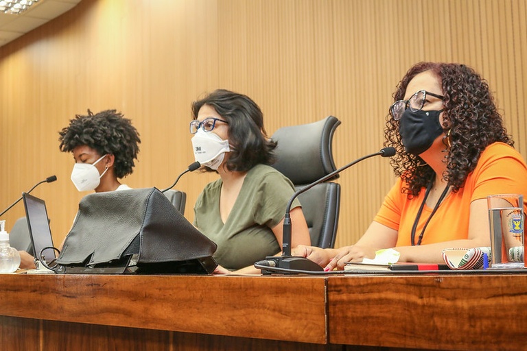 Comissão da Mulher debate o combate à violência contra as mulheres em Campinas