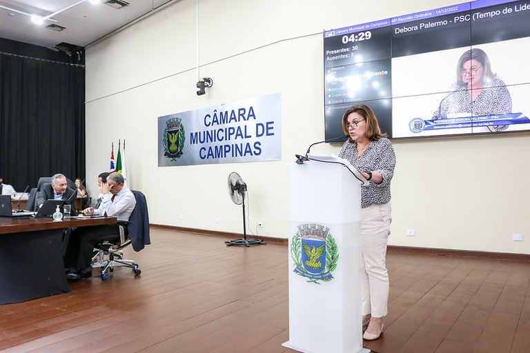 Debora Palermo faz balanço da gestão frente à Câmara: foco em Legislativo com mais independência, credibilidade, transparência e próximo da população