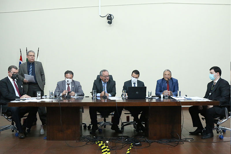 Vereadores aprovam o mérito do projeto que autoriza o translado de animais domésticos de pequeno porte no transporte público municipal