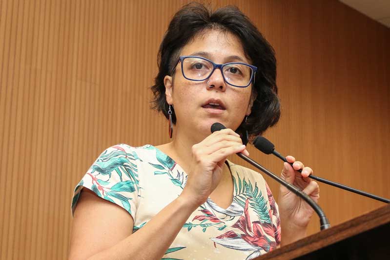 Nesta terça (14), às 13 horas, Comissão Permanente da Mulher faz primeira reunião do ano:  tema será o aumento da violência contra a mulher na RMC