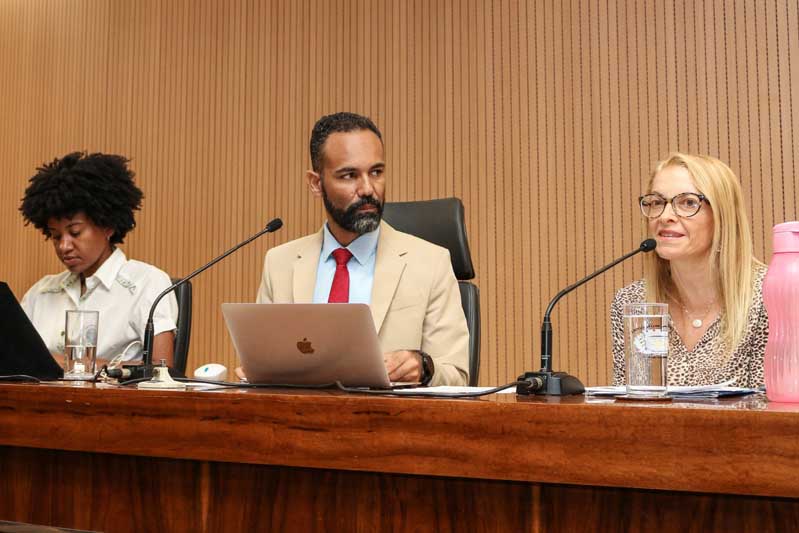 Comissão de Cultura recebe secretária Alexandra Caprioli para apresentação do Plano Municipal do setor