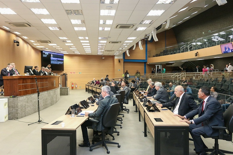 Câmara vota, em análise inicial, Projeto de Lei que autoriza sepultamento de animais domésticos em cemitérios municipais