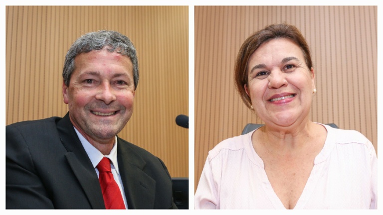 Por iniciativa de Debora Palermo e Paulo Bufalo, Câmara sedia Seminário Nacional Sobre Orfandade
