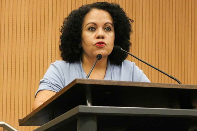Primeira Parte da Reunião Ordinária desta segunda-feira (18) aborda a Docência na Educação Infantil
