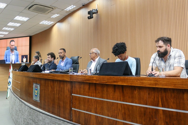 Comissão de Cultura recebe secretária municipal para debater ações de popularização da arte