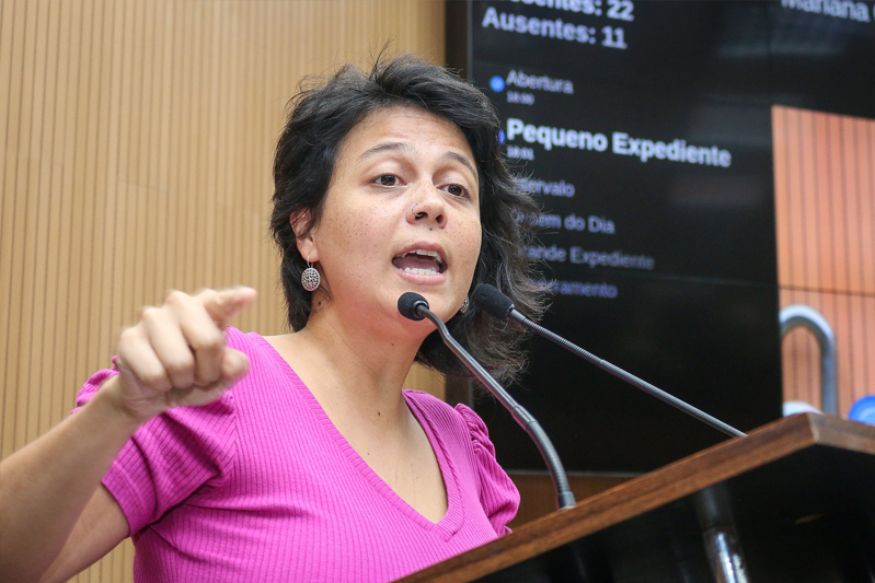 Primeira Parte da Reunião Ordinária desta quarta-feira (28) celebra os 35 anos de fundação do Ibama