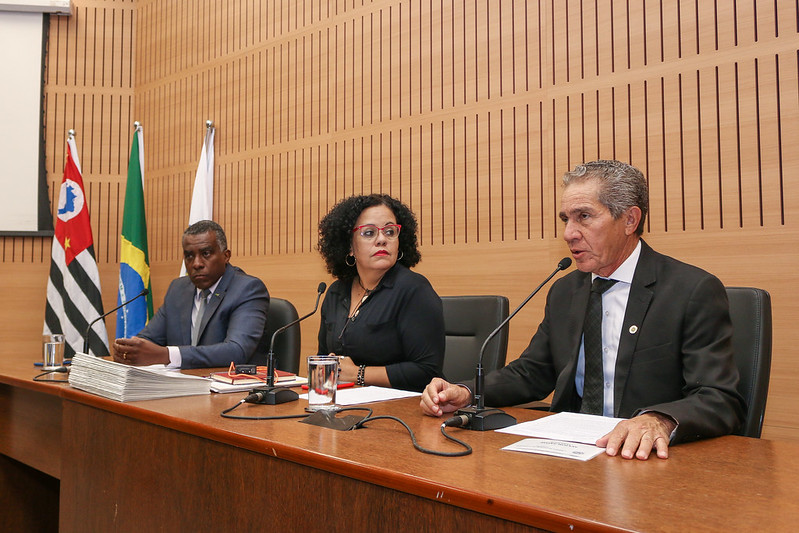 Comissão de Honraria analisa pareceres de 11 Projetos de Lei; homenagem a Silvia Brandalise, presidente do Centro Infantil Boldrini, está na pauta