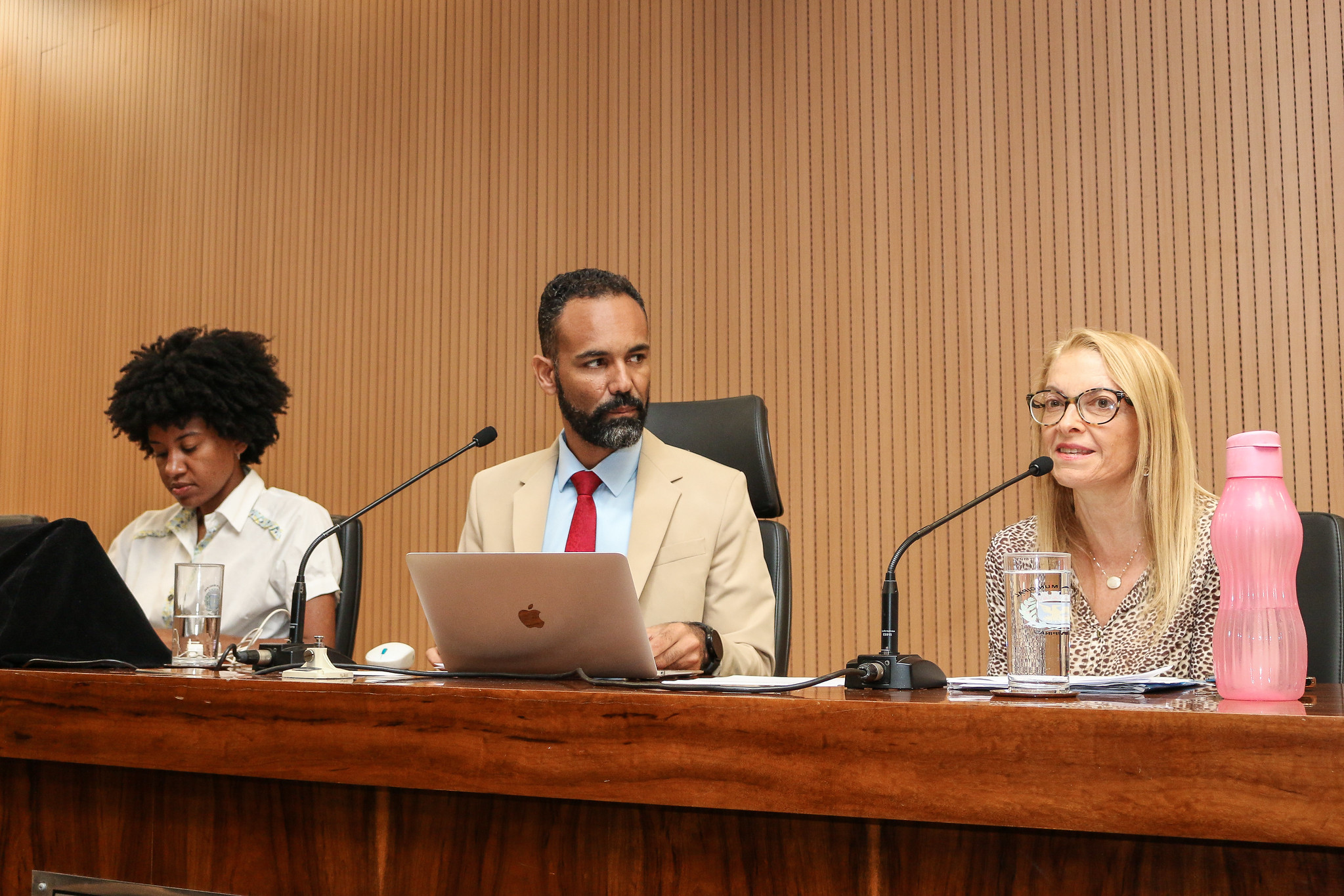 Comissão de Cultura debate a reestruturação do Conselho Municipal de Hip-Hop de Campinas