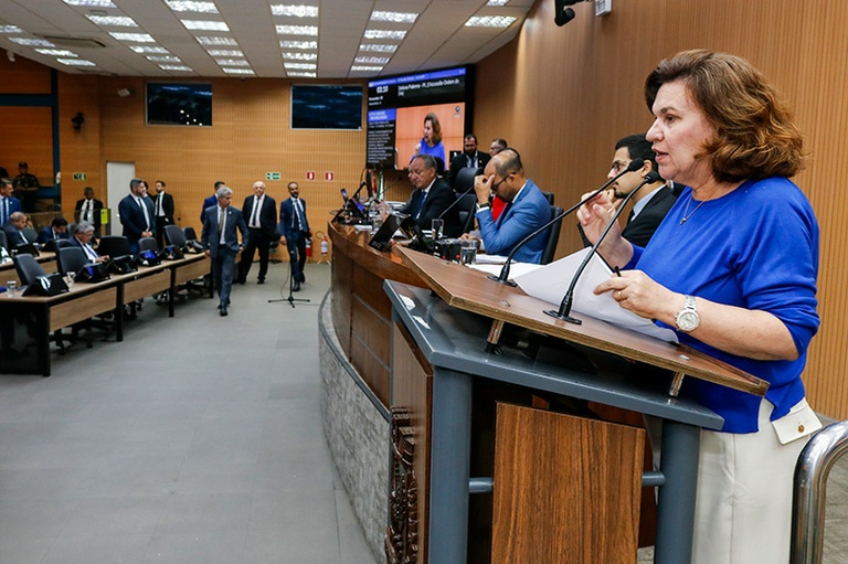  Vereadores aprovam em definitivo, na última reunião ordinária do ano, Lei Manuela para regulamentar uso de motores em piscinas 